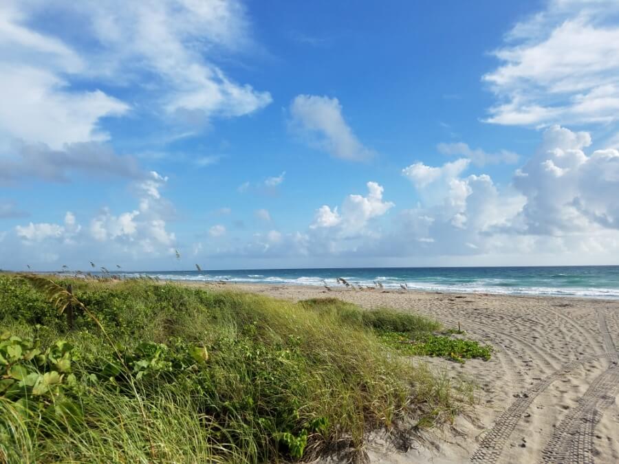Hobe Sound National Wildlife Refuge on a sunny day