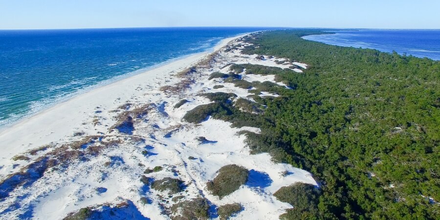 A quiet Florida beach called Cape San Blas