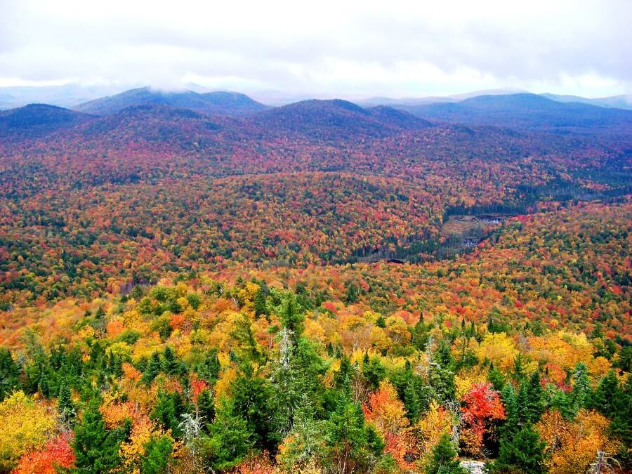 Adirondack Park in the fall