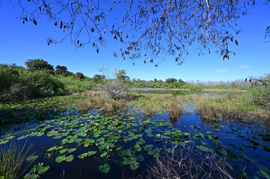 Big Cypress National Preserve