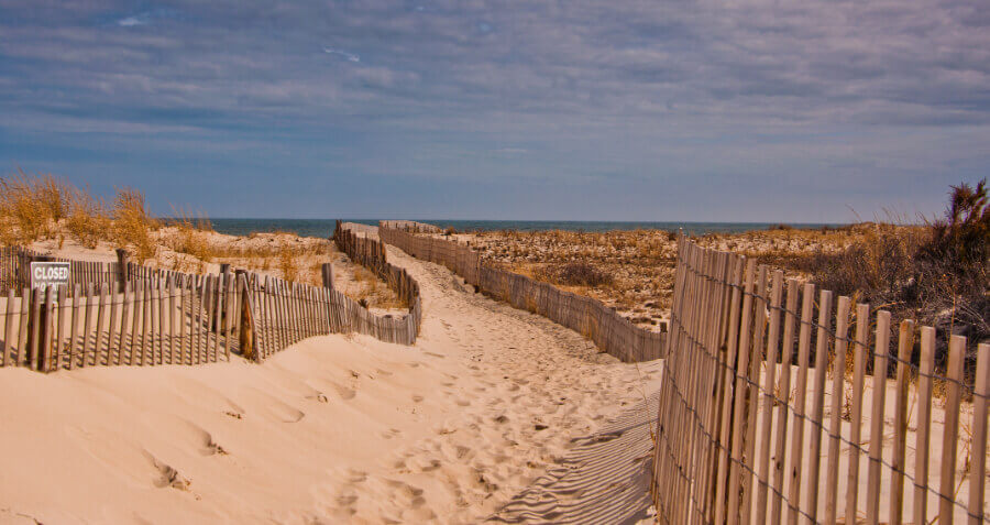 Cape Henlopen State Park