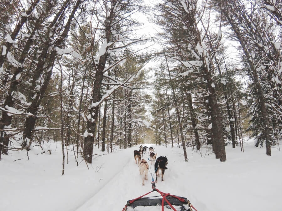 Dog sledding which is a popular winter activity in Maine
