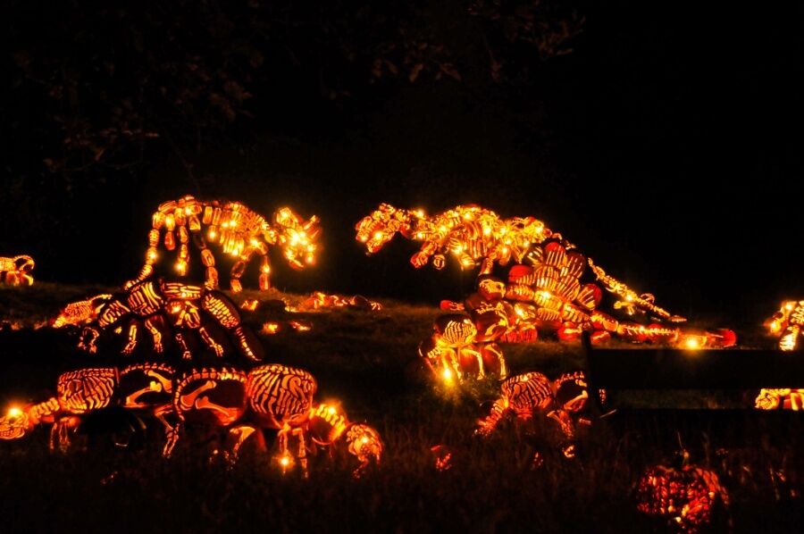 A popular and festive Jack-O-Lantern Blaze activity in Upstate New York during the fall