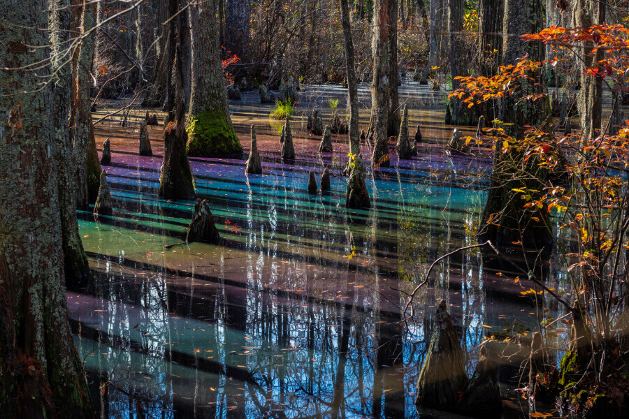 First Landing State Park
