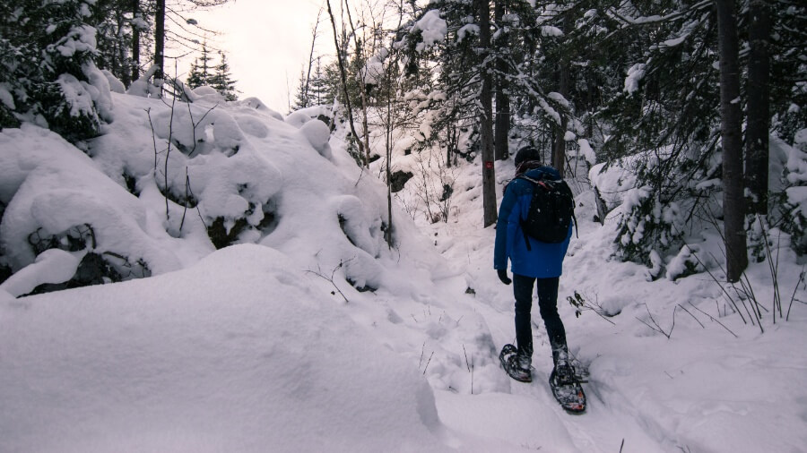 A person snowshoeing in the winter