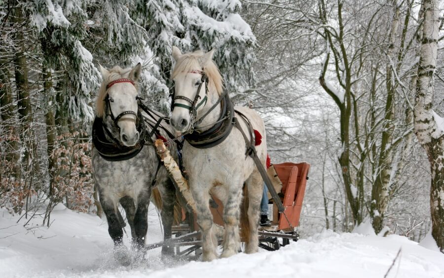Sleigh rides which is a unique Maine winter activity