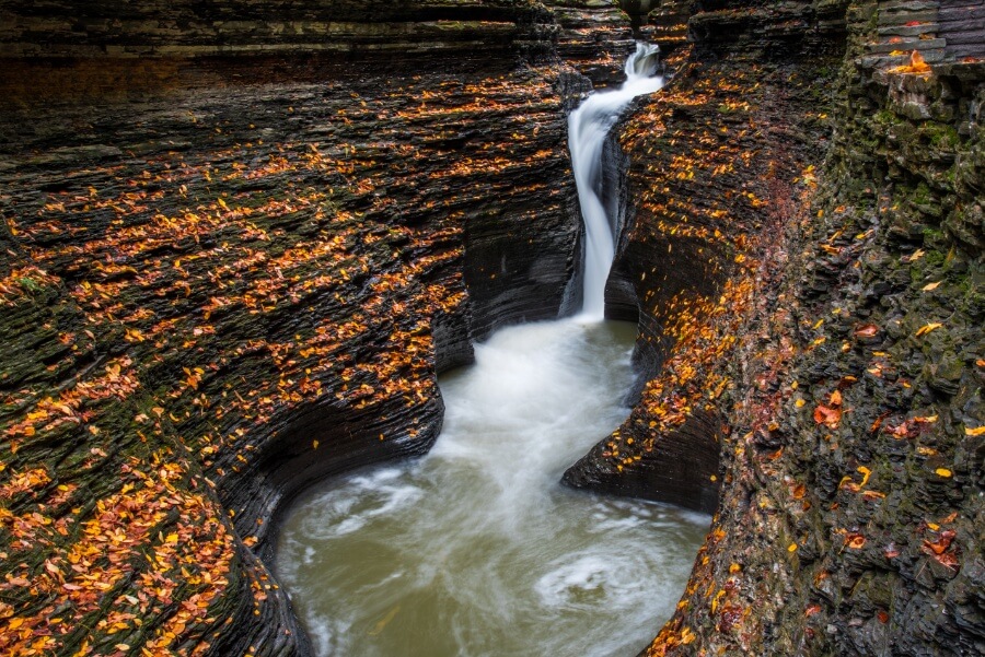 Fall activities in Watkins Glen State Park