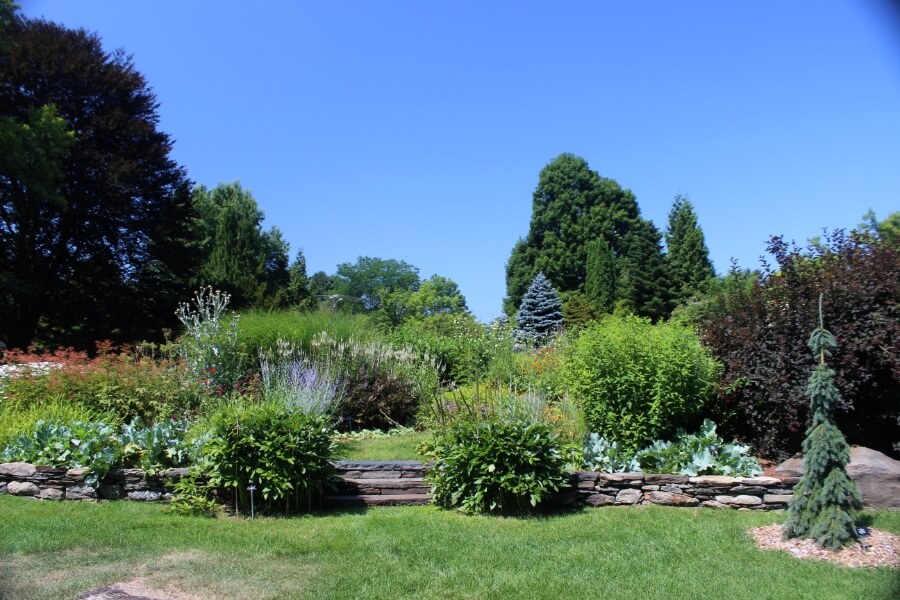 An area of the Berkshire Botanical Garden