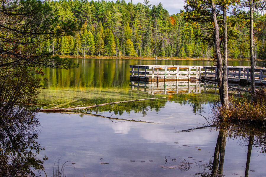 A lake in Hartwick Pines State Park