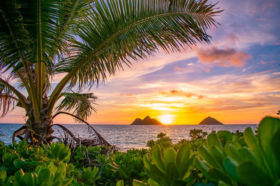 A beautiful view in Oahu