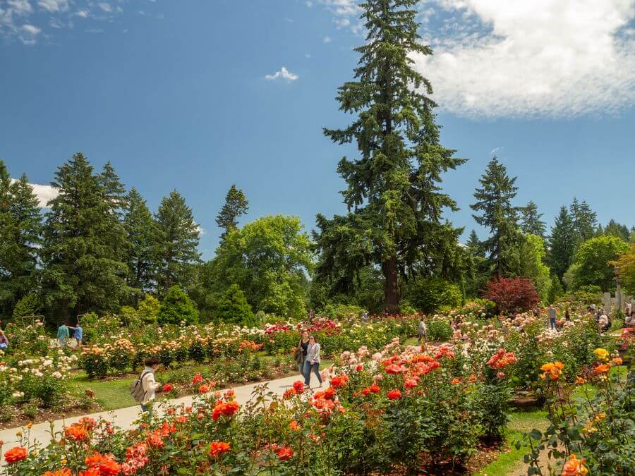 International Rose Test Garden
