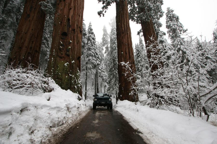 Kings Canyon National Park which is one of the best places to visit in the winter in the USA