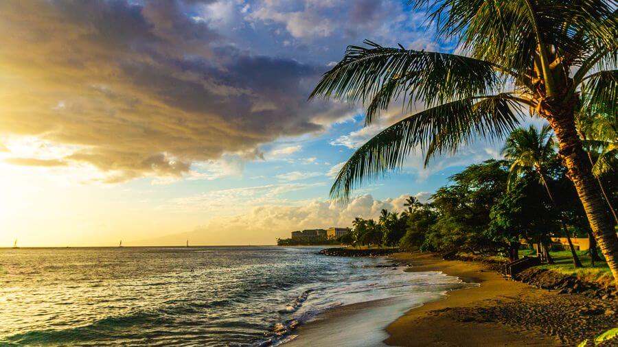 A beach in Maui