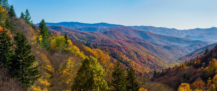 Great Smoky Mountains National Park on the East Coast