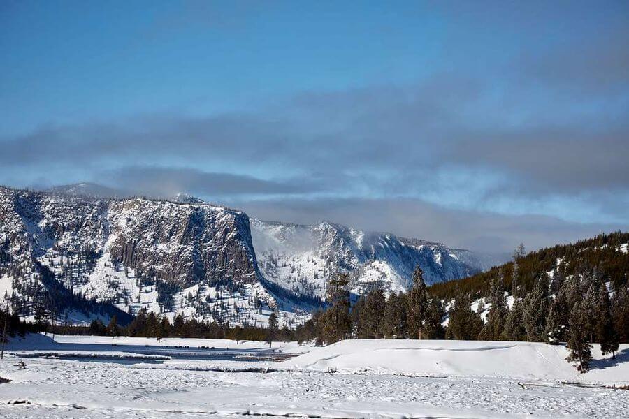 A snow-filled valley with pine trees and table top mountains in the background