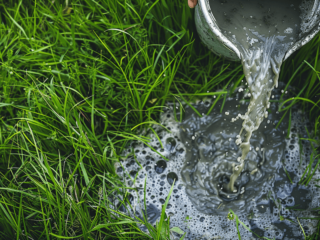 Can you dump gray water on the ground?