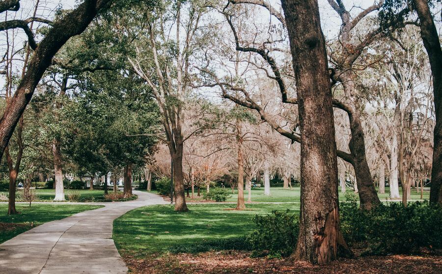 Forsyth Park