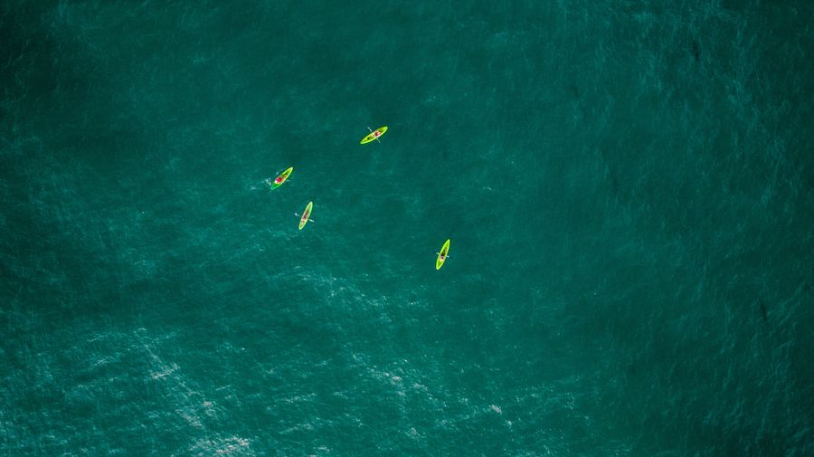 People enjoying kayaking in La Jolla which is a popular thing to do in the area