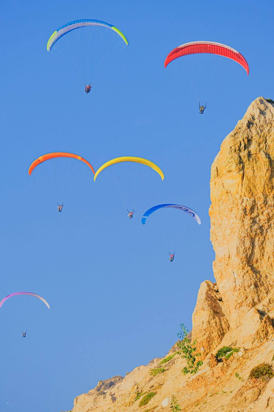 Paragliders launching from Torrey Pines Gliderport