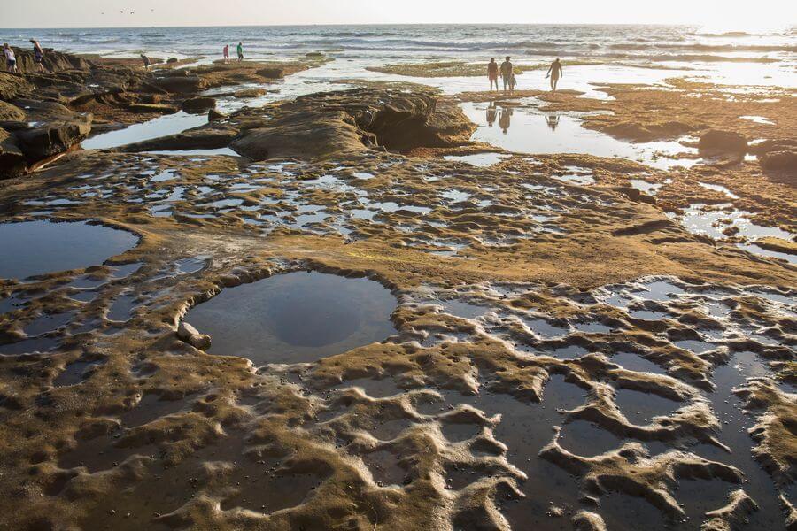 Tide pools in La Jolla