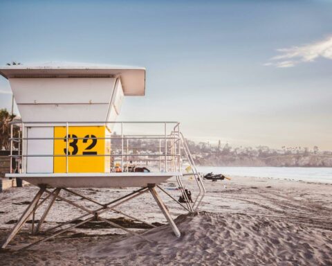 One of the things you can do in La Jolla, California
