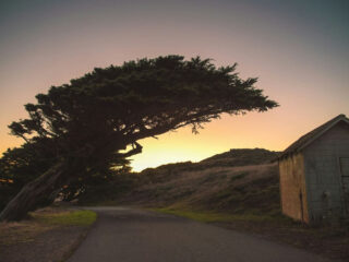 An example of a thing to do in Point Reyes National Seashore
