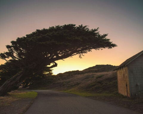 An example of a thing to do in Point Reyes National Seashore