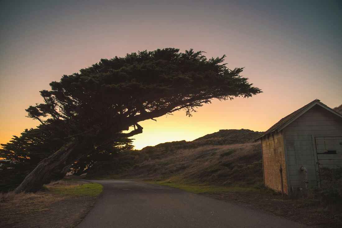 An example of a thing to do in Point Reyes National Seashore