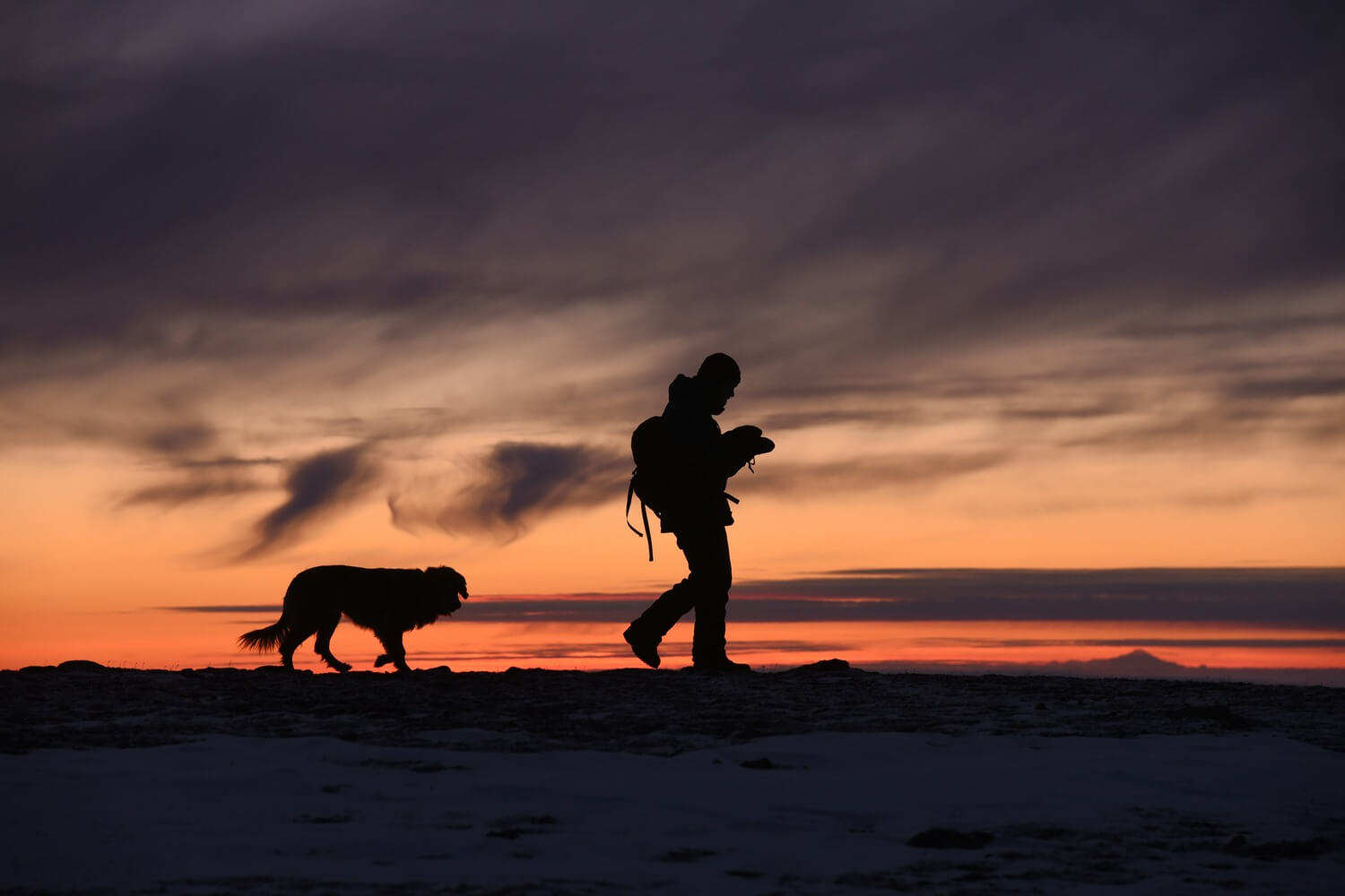 A man walking around after RVing with his dog