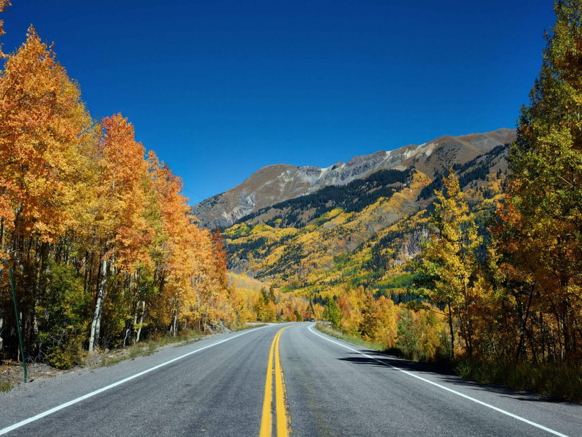 Best USA road trips
