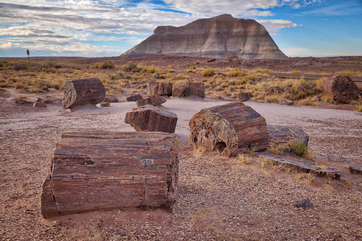 Petrified Forest National Park