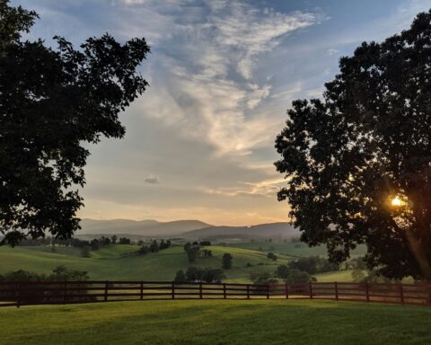 View from an East Coast road trip