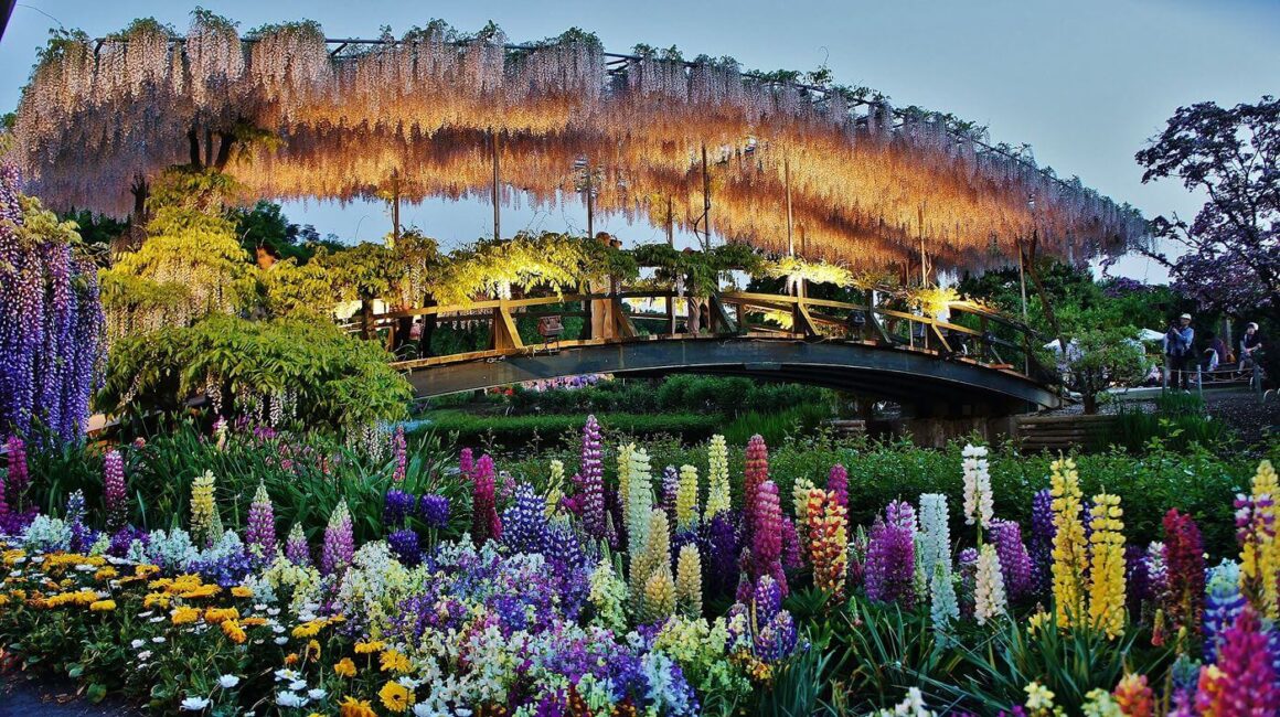 Ashikaga Flower Park