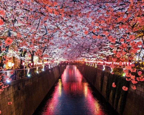 Most beautiful places Japan bucket list