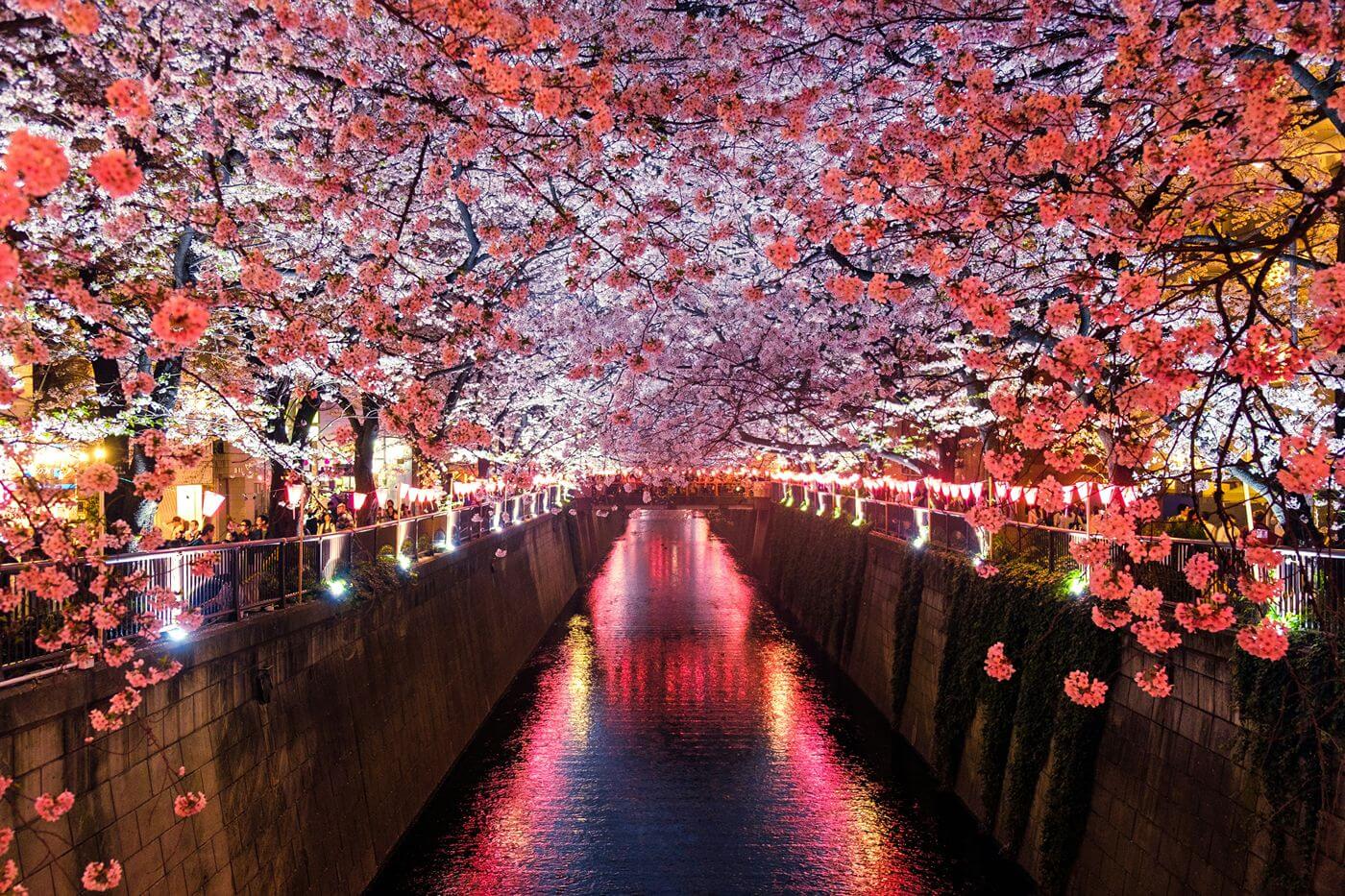 Most beautiful places Japan bucket list