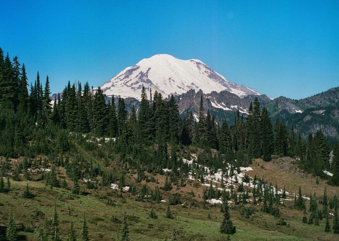 Mount Rainier National Park