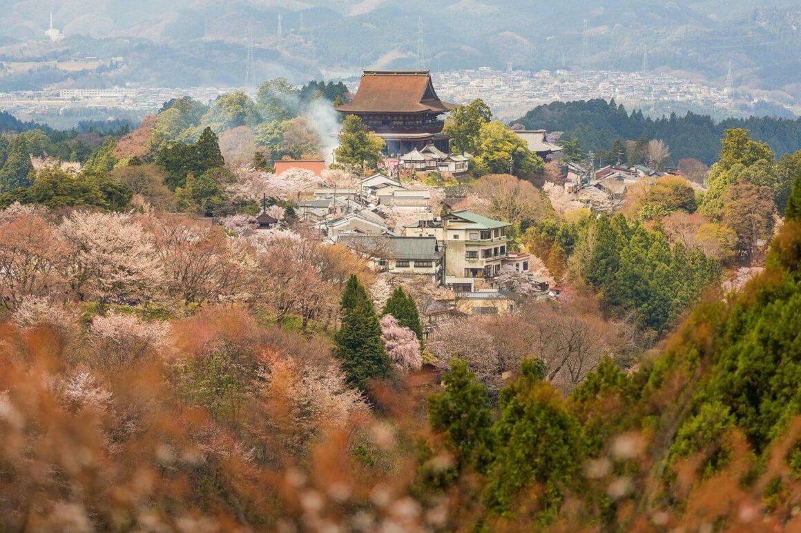 Mt. Yoshino