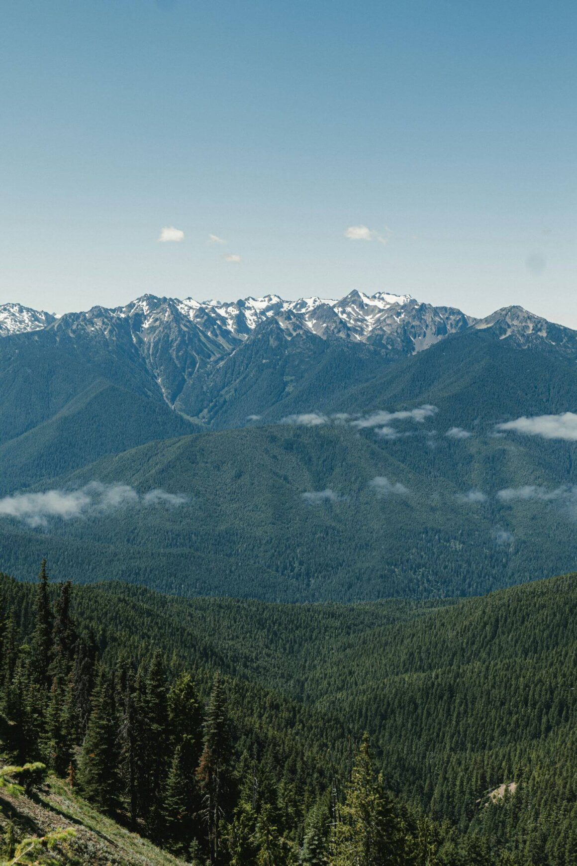 Olympic National Park