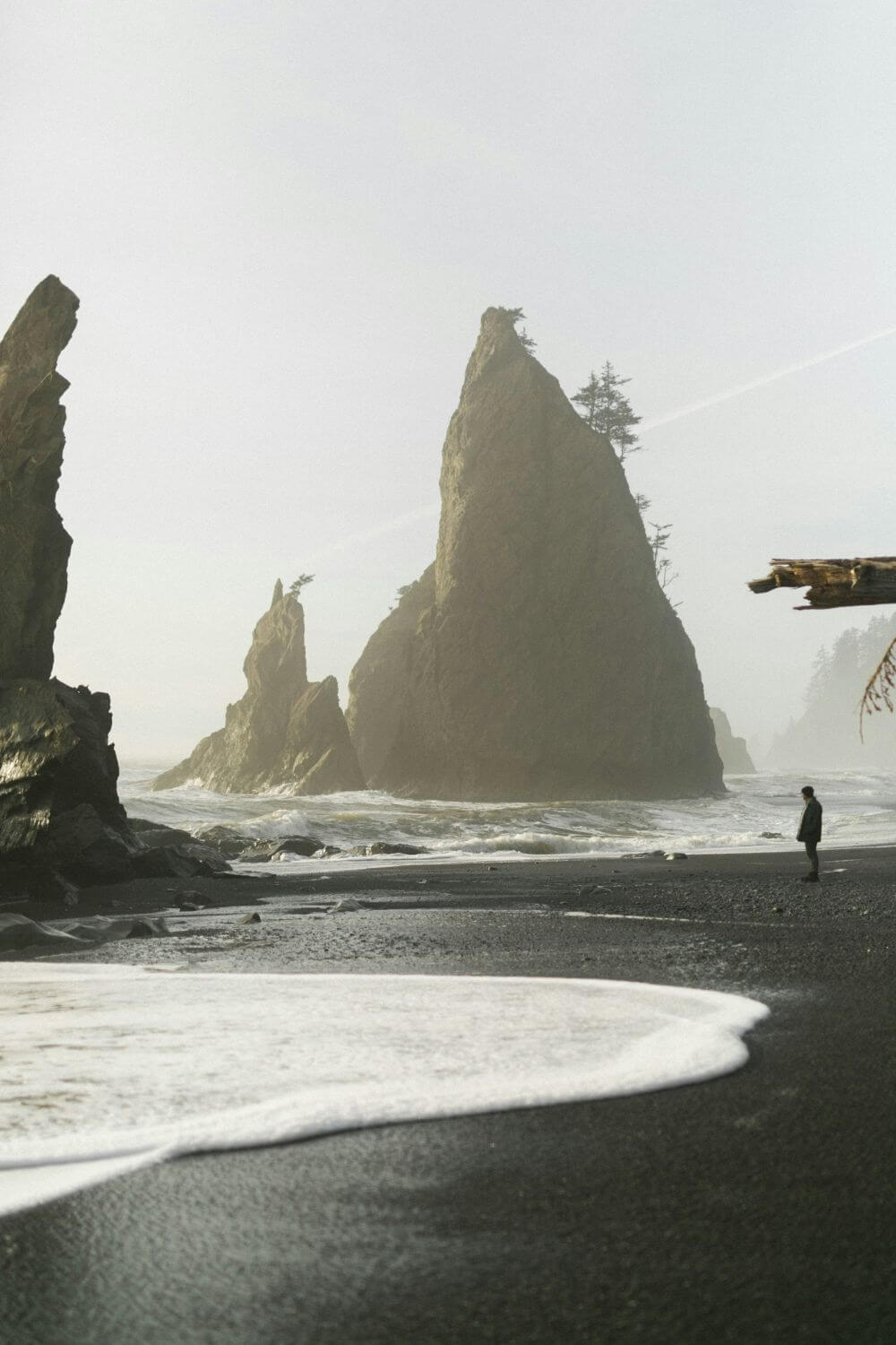 Olympic National Park