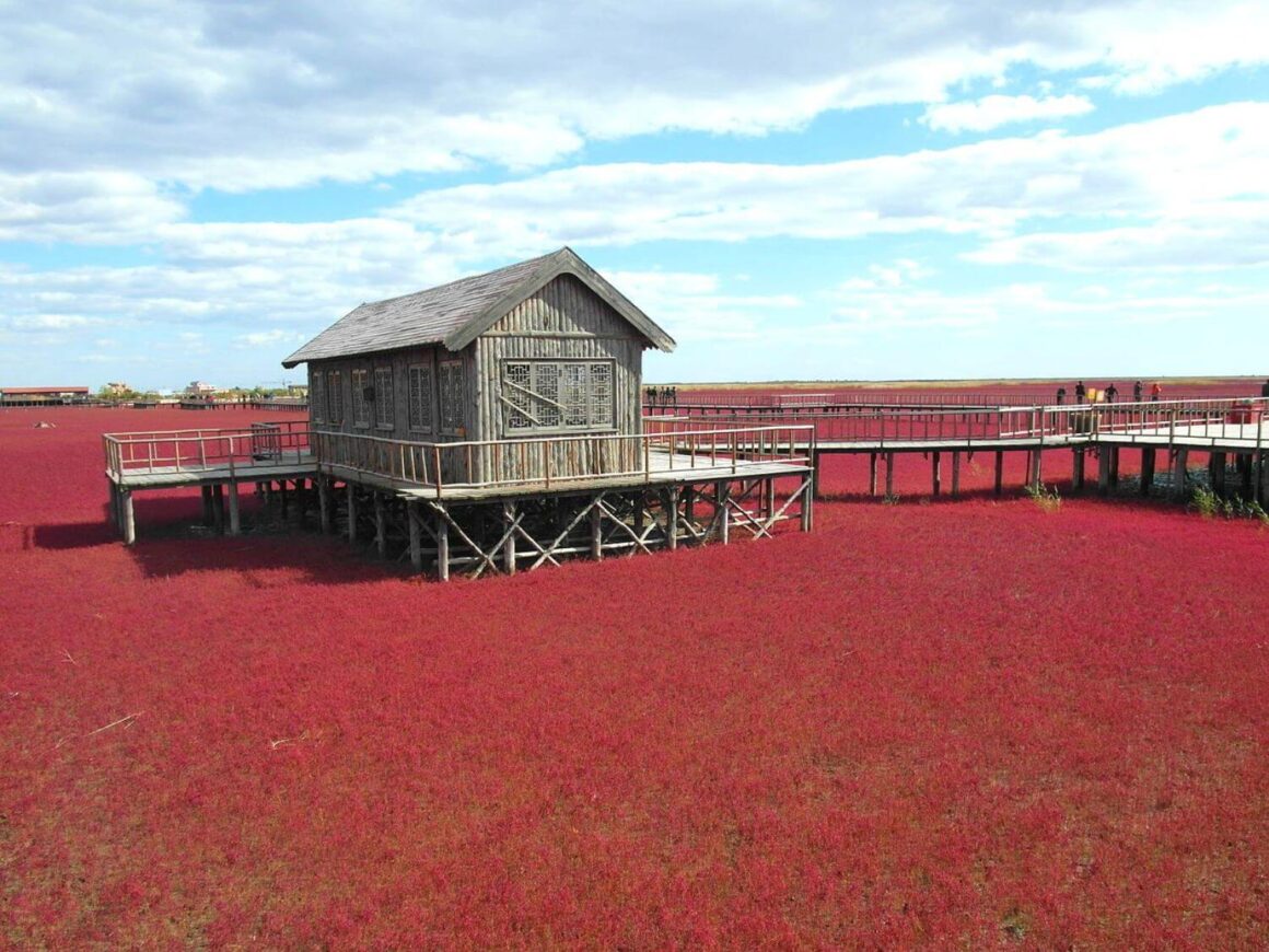 Panjin Red Beach