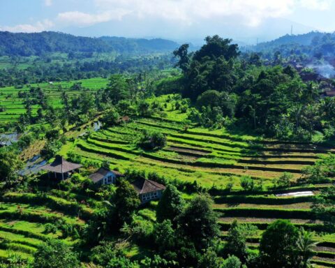 Most beautiful places to travel in Bali