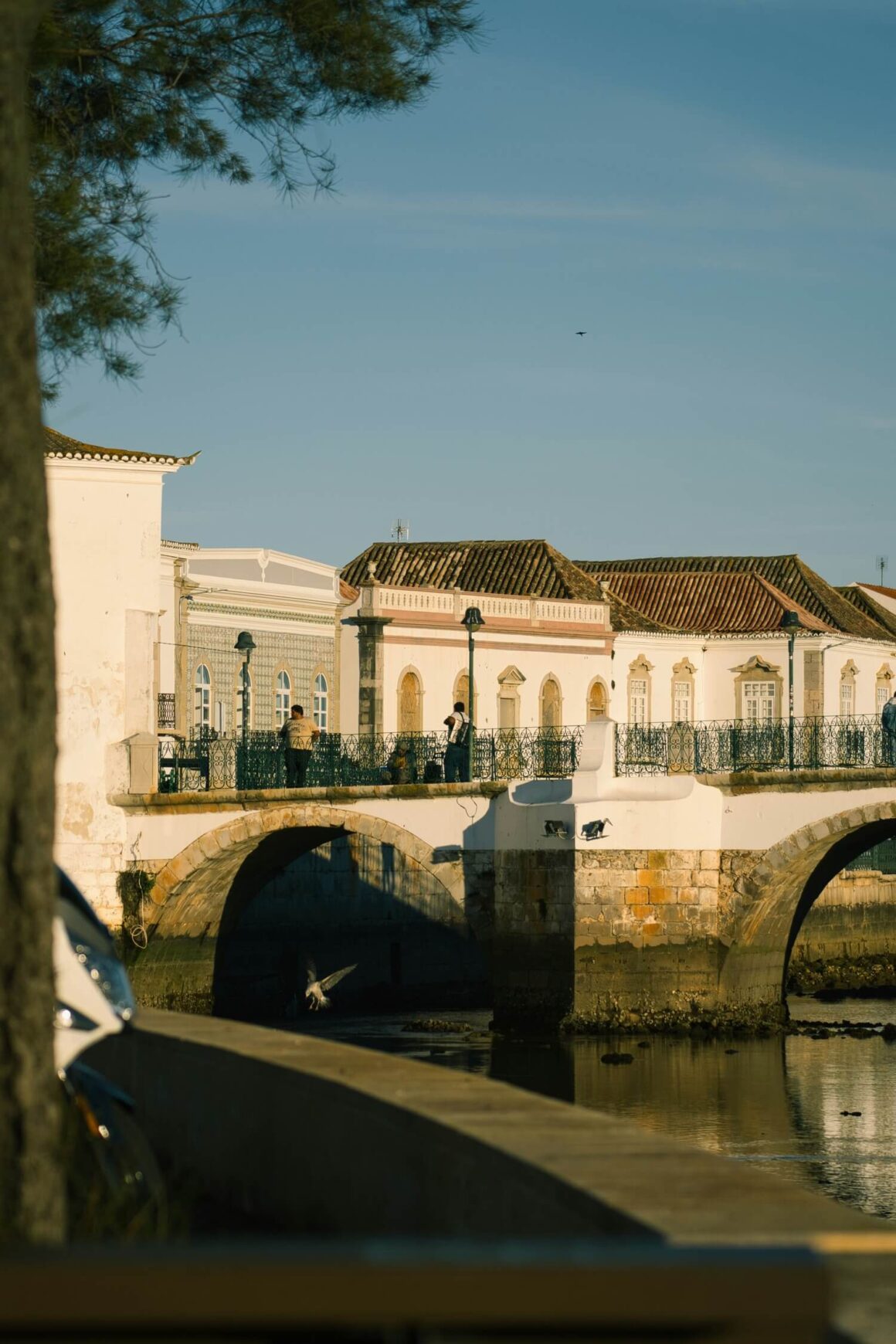 Tavira