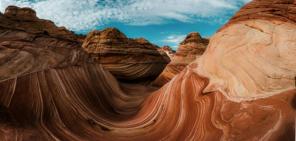 The Wave