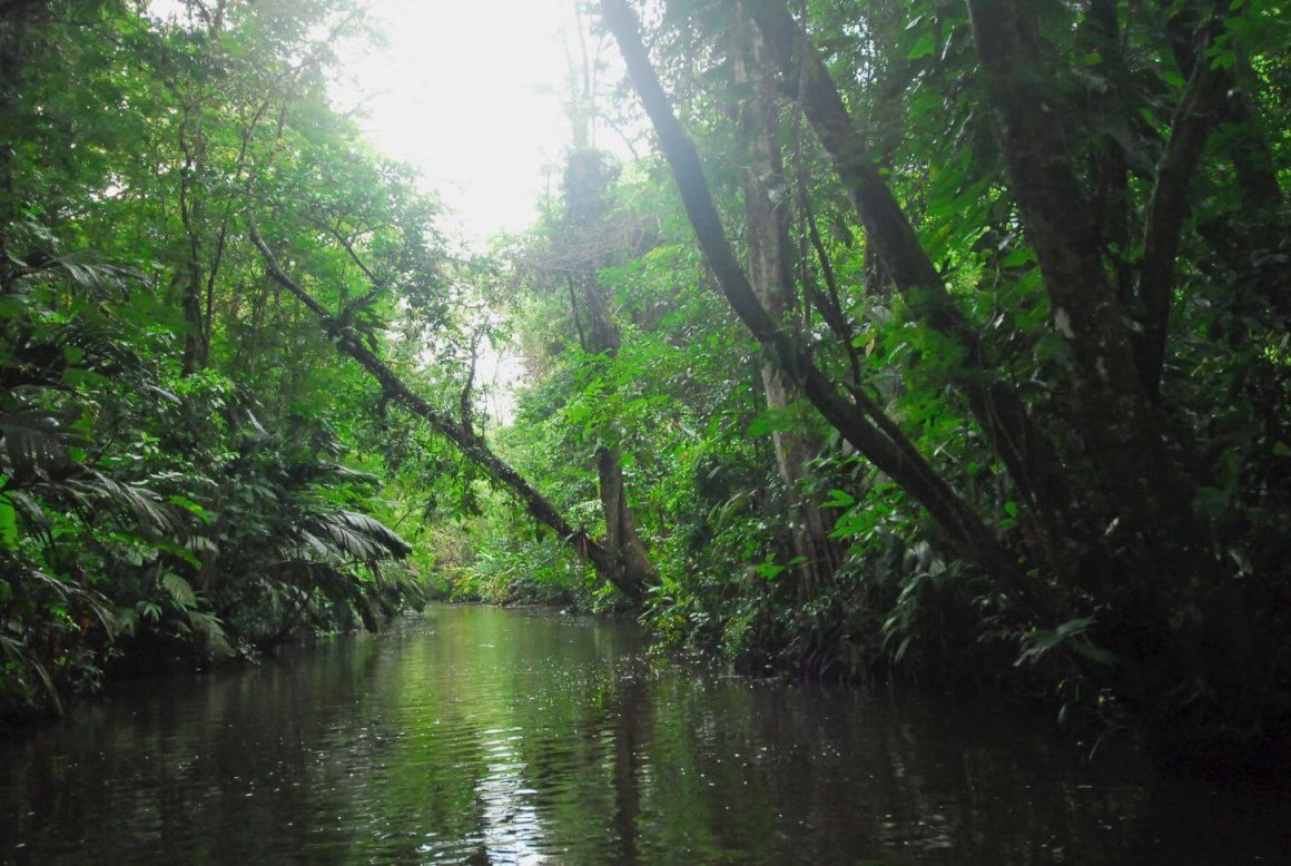 Tortuguero National Park