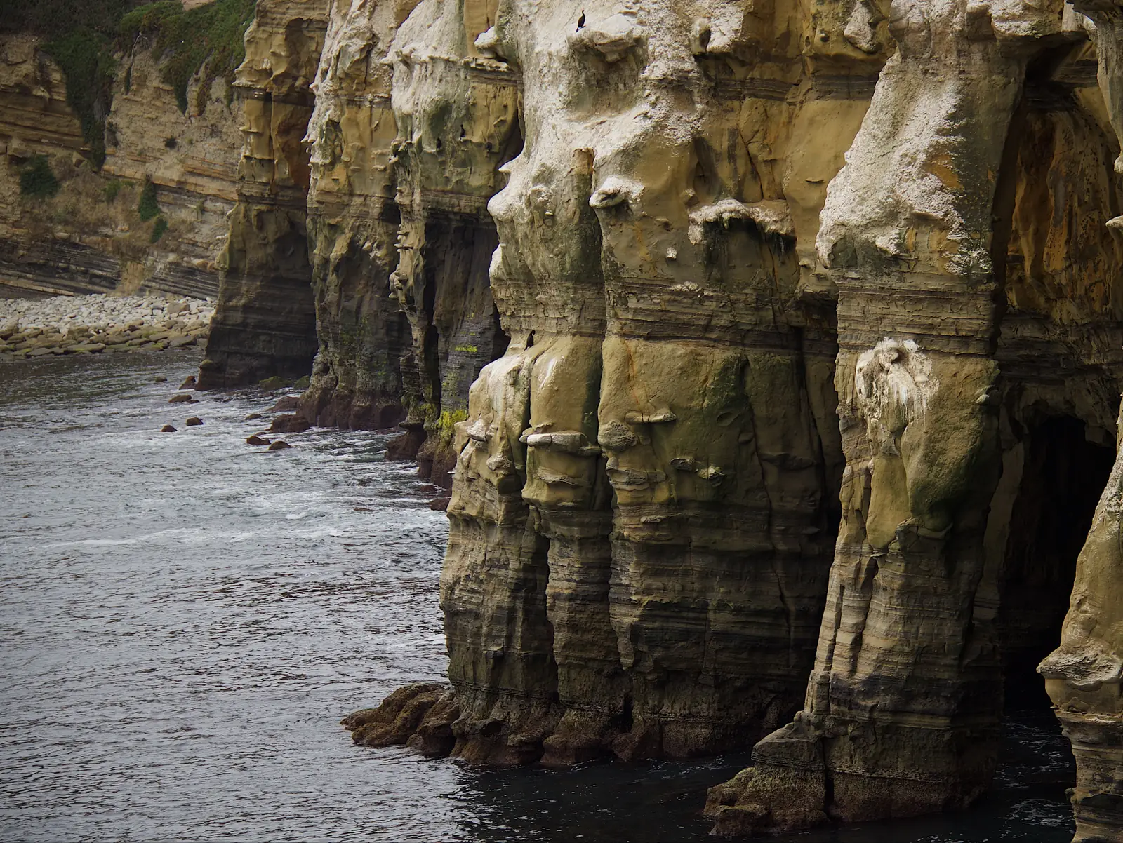 Sandstone sea cliffs at Torrey Pines in San Diego