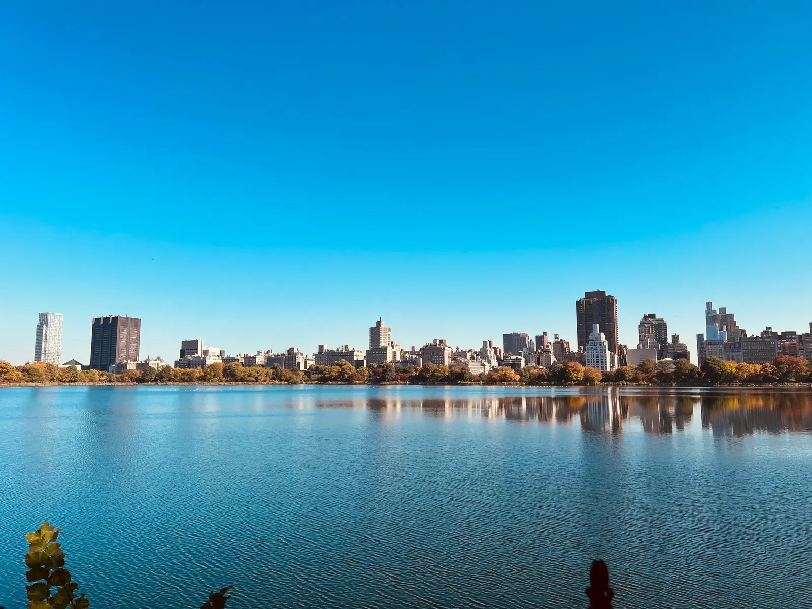 The Central Park lake reflecting the New York City skyline