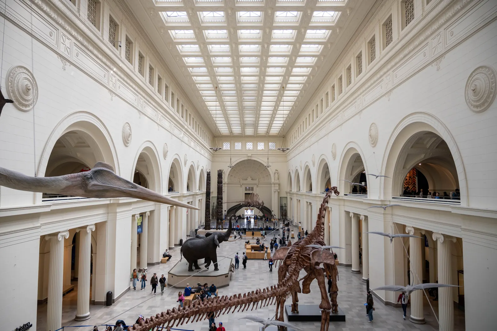 The Field Museum building on Chicago's lakefront Museum Campus