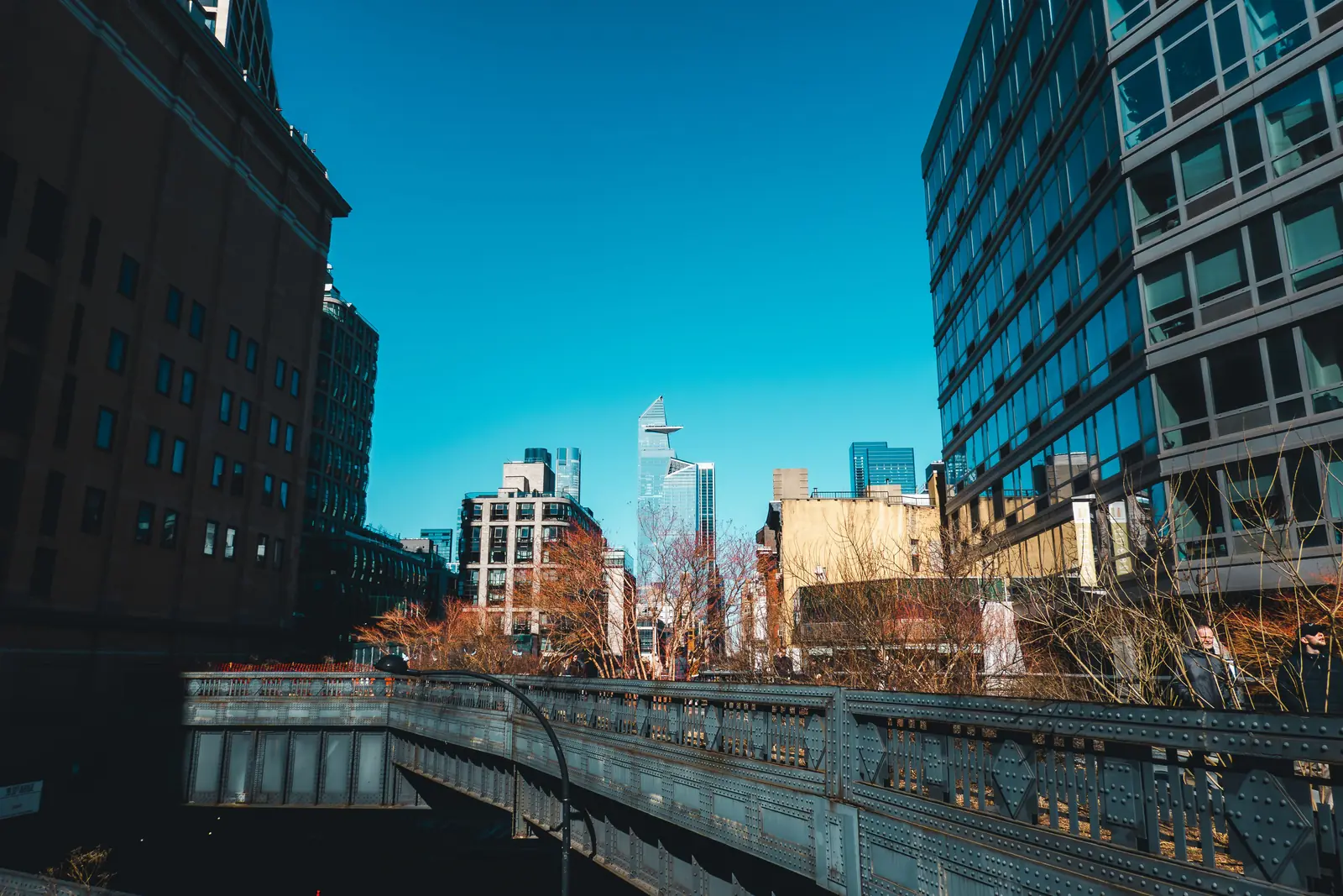 The High Line elevated park walkway with the Manhattan skyline