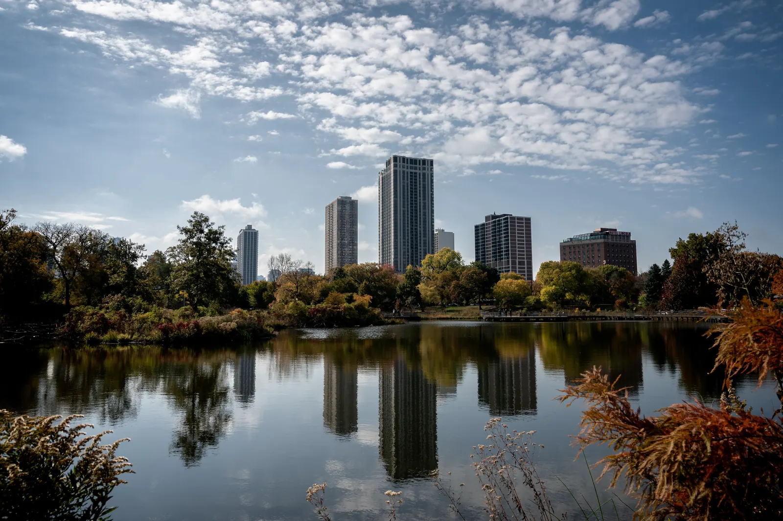 Lincoln Park lagoon in autumn with the Chicago skyline behind it