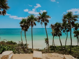 Palm trees leaning over the turquoise water of a beach in Tulum, Mexico